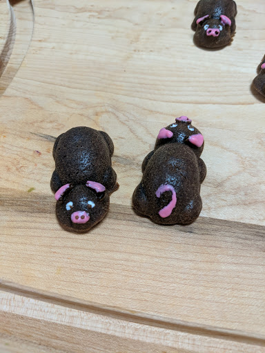 Pet Supply Store «Bow Wow & Meow», reviews and photos, 11607 Maumelle Blvd, North Little Rock, AR 72113, USA