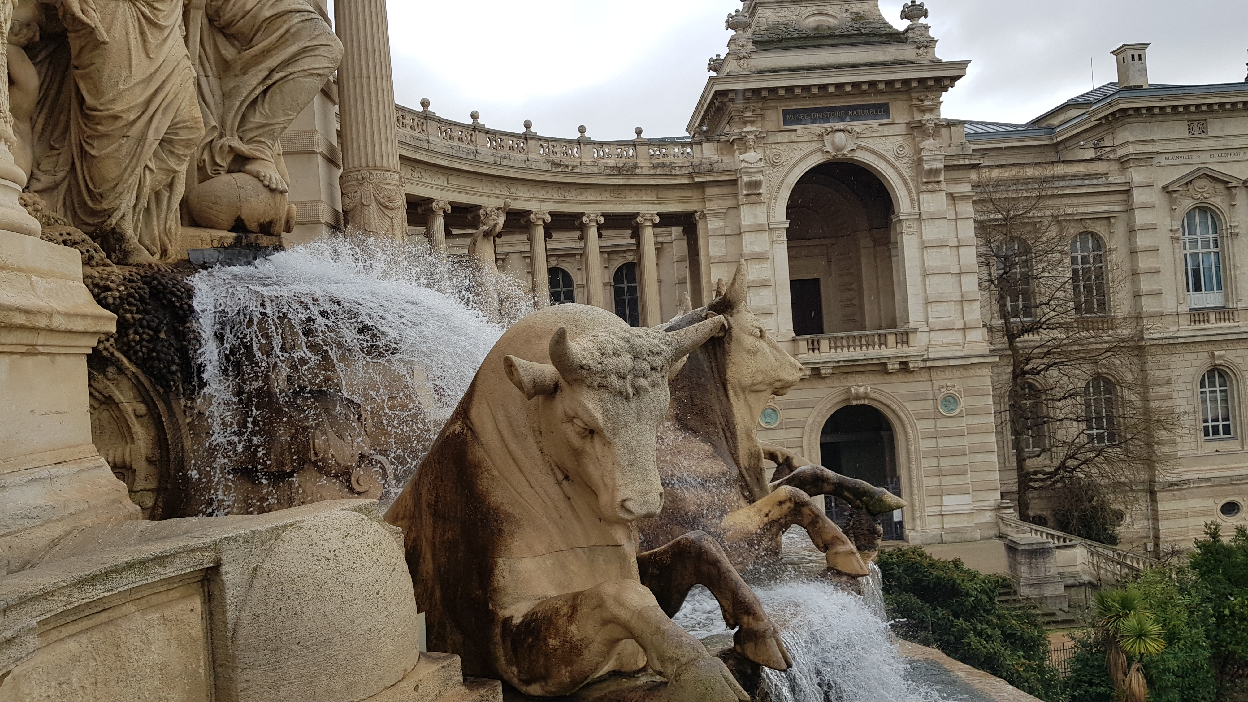 Photo n° 4 de l'avis de Raz-Dar. fait le 15/02/2022 à 07:28