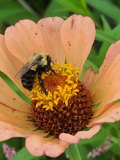 Farm «Jaemor Farms», reviews and photos, 5340 Cornelia Hwy, Alto, GA 30510, USA