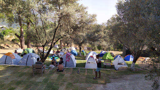 Ölüdeniz Orman Kampı