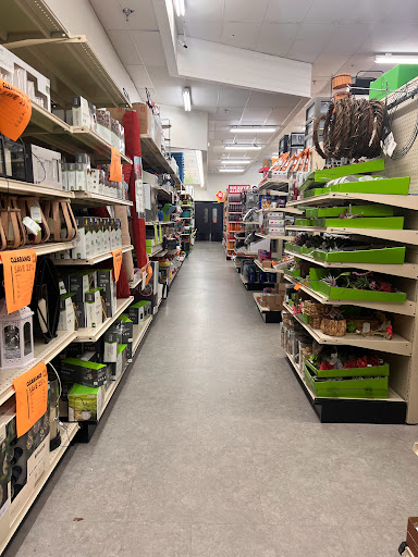 Discount Store «Big Lots», reviews and photos, 2412 S Volusia Ave, Orange City, FL 32763, USA