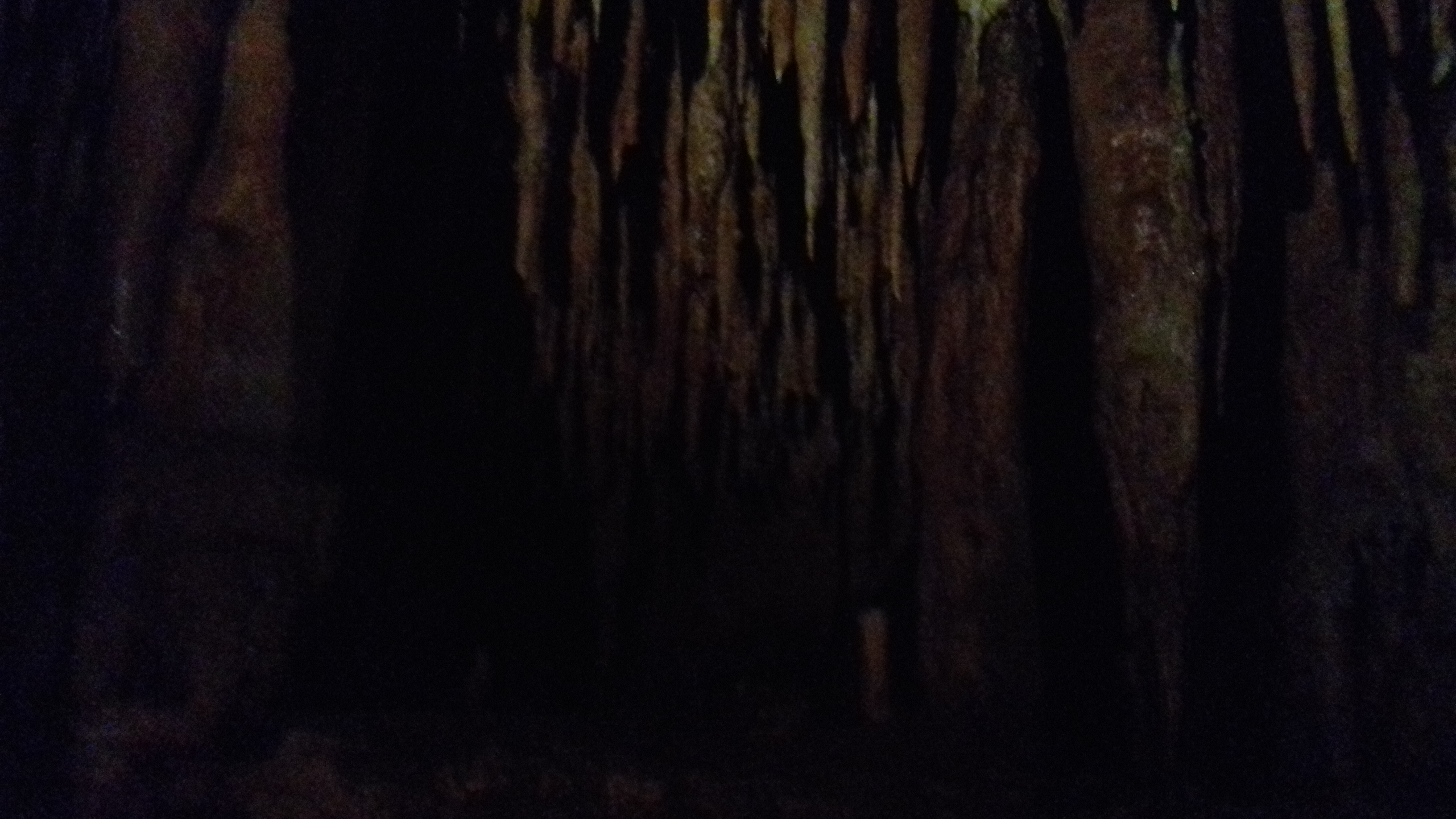 Photo n° 3 de l'avis de Frederic.a fait le 13/07/2019 à 16:32