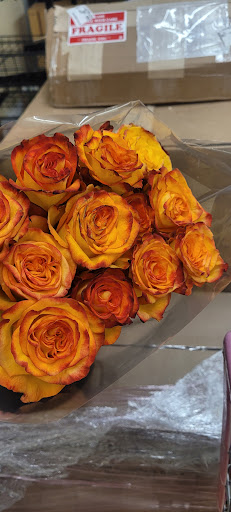 Grocery Store «Winn-Dixie», reviews and photos, 6257 US-1, Port St John, FL 32927, USA