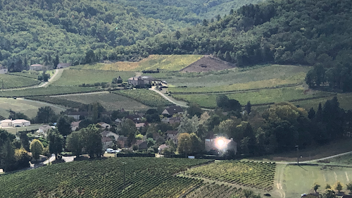 SCEA Des Domaines Roche à Vire-sur-Lot