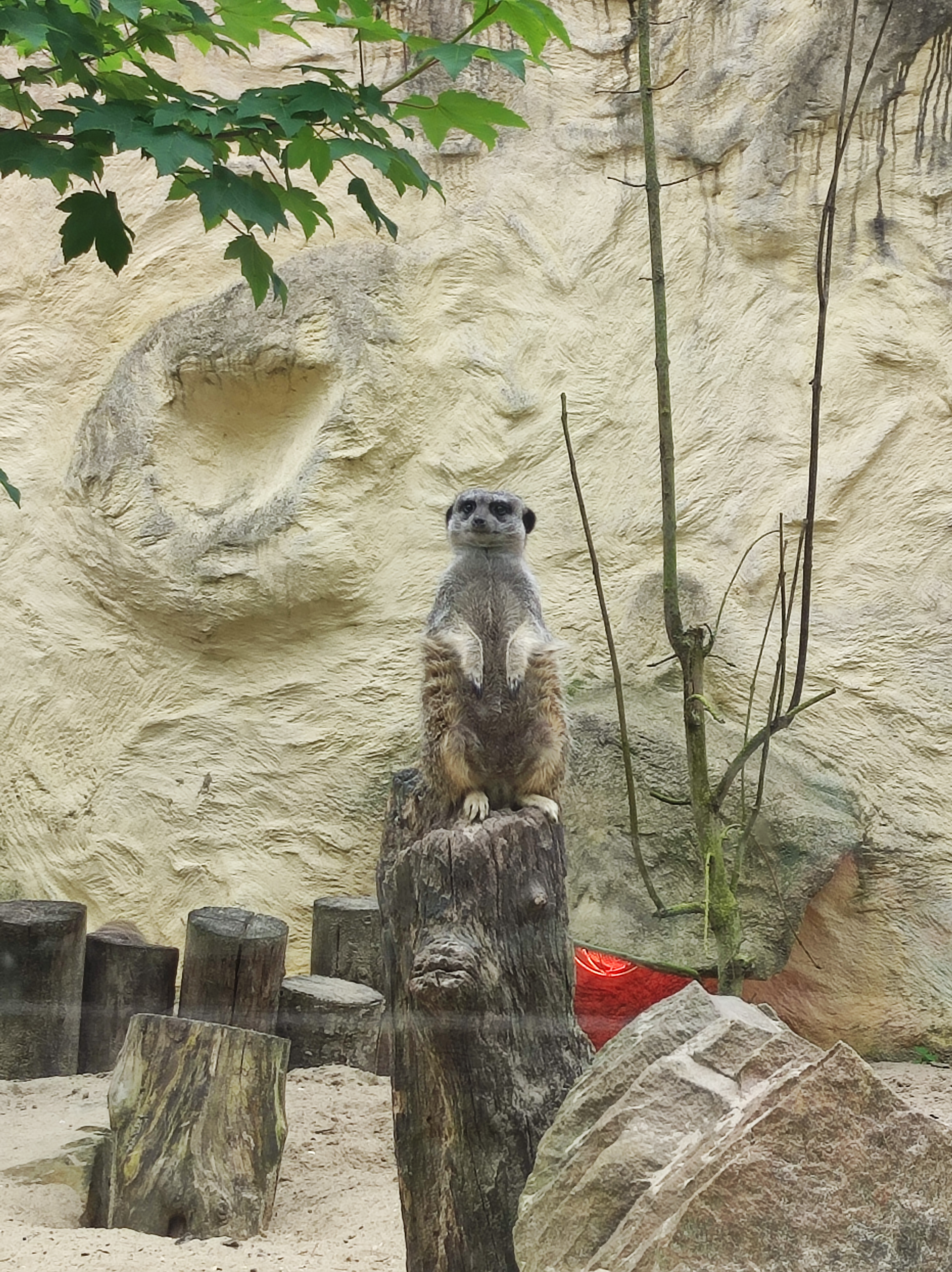 Photo n° 10 de l'avis de Romin. fait le 24/05/2023 à 12:29