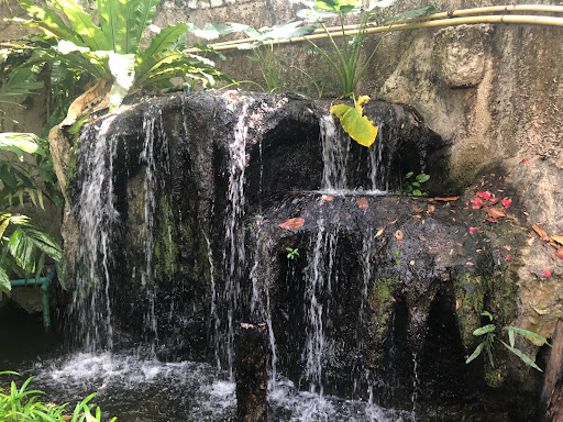 Bangkok Butterfly Garden and Insectarium