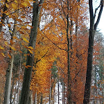 Photo n°9 de l'avis de Frank.i fait le 13/11/2018 à 13:30 sur le  Hotel Haus Bauer à Bad Berneck