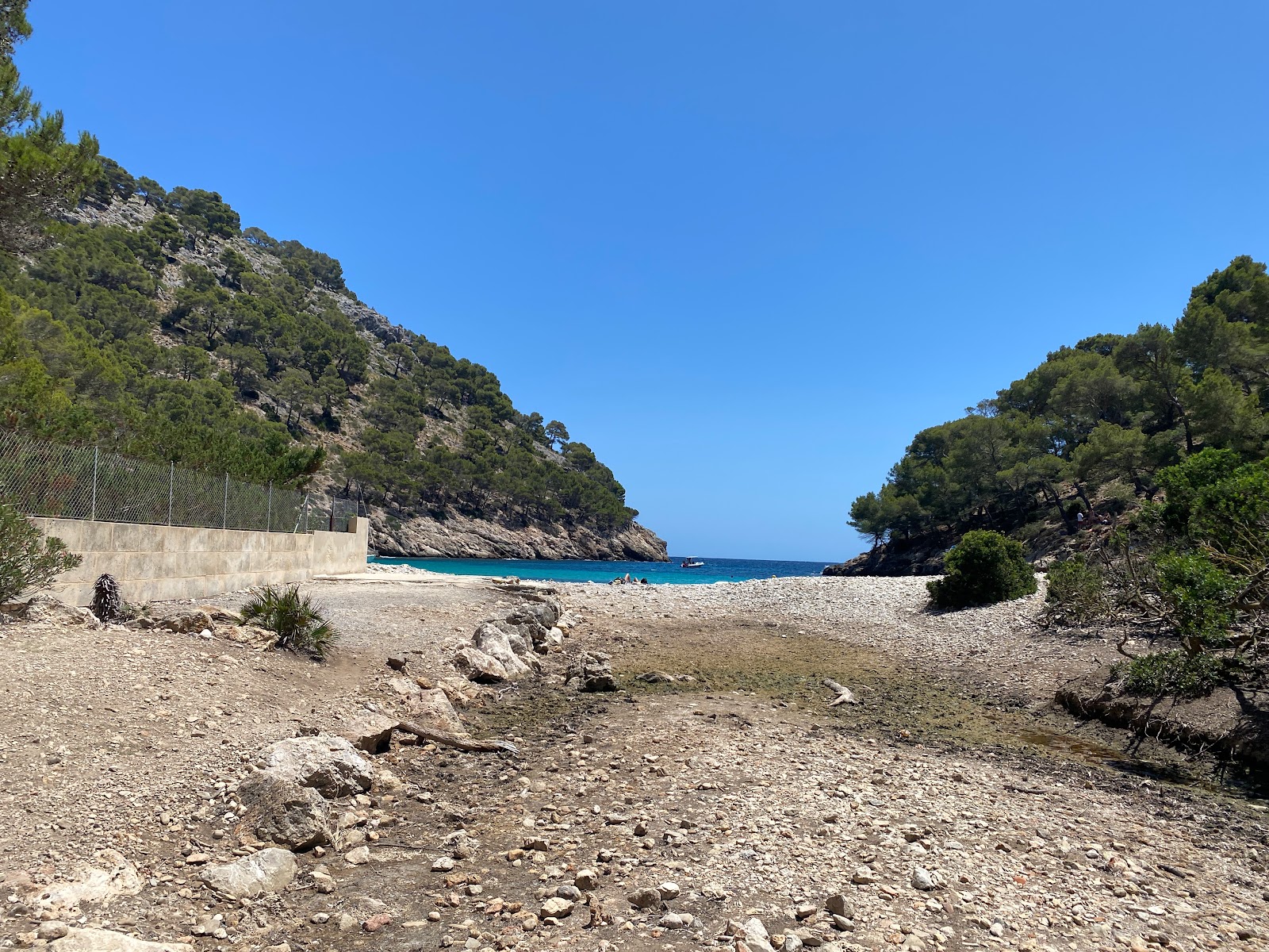 Photo of Cala Murta backed by cliffs