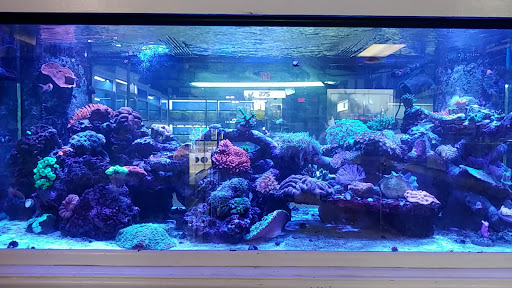Pet Supply Store «Exotic Aquatic», reviews and photos, 275 E Oakland Park Blvd, Fort Lauderdale, FL 33334, USA