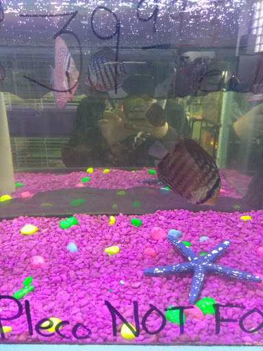 Pet Supply Store «D & D Pet Center», reviews and photos, 8813 Michigan Ave, Detroit, MI 48210, USA