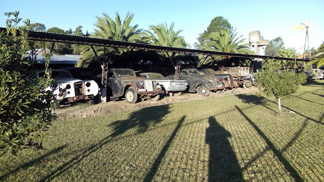 8632+5RH, 15600 Estación Atlántida, Departamento de Canelones, Uruguay