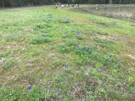 Park «Lake Houston Wilderness Park», reviews and photos, 25840 FM 1485, New Caney, TX 77357, USA