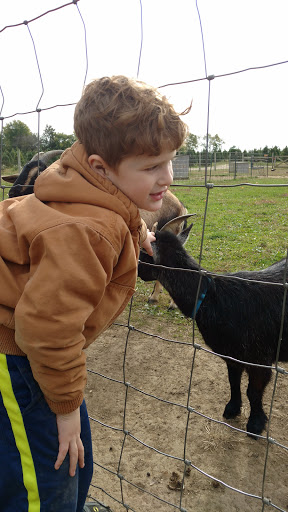 Christmas Tree Farm «Piney Acres», reviews and photos, 1115 E 1000 N, Fortville, IN 46040, USA