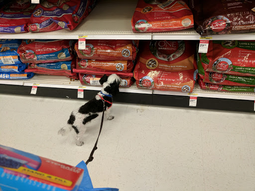 Department Store «Target», reviews and photos, 555 Showers Dr, Mountain View, CA 94040, USA