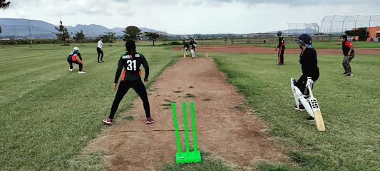 Cricket Jalisco