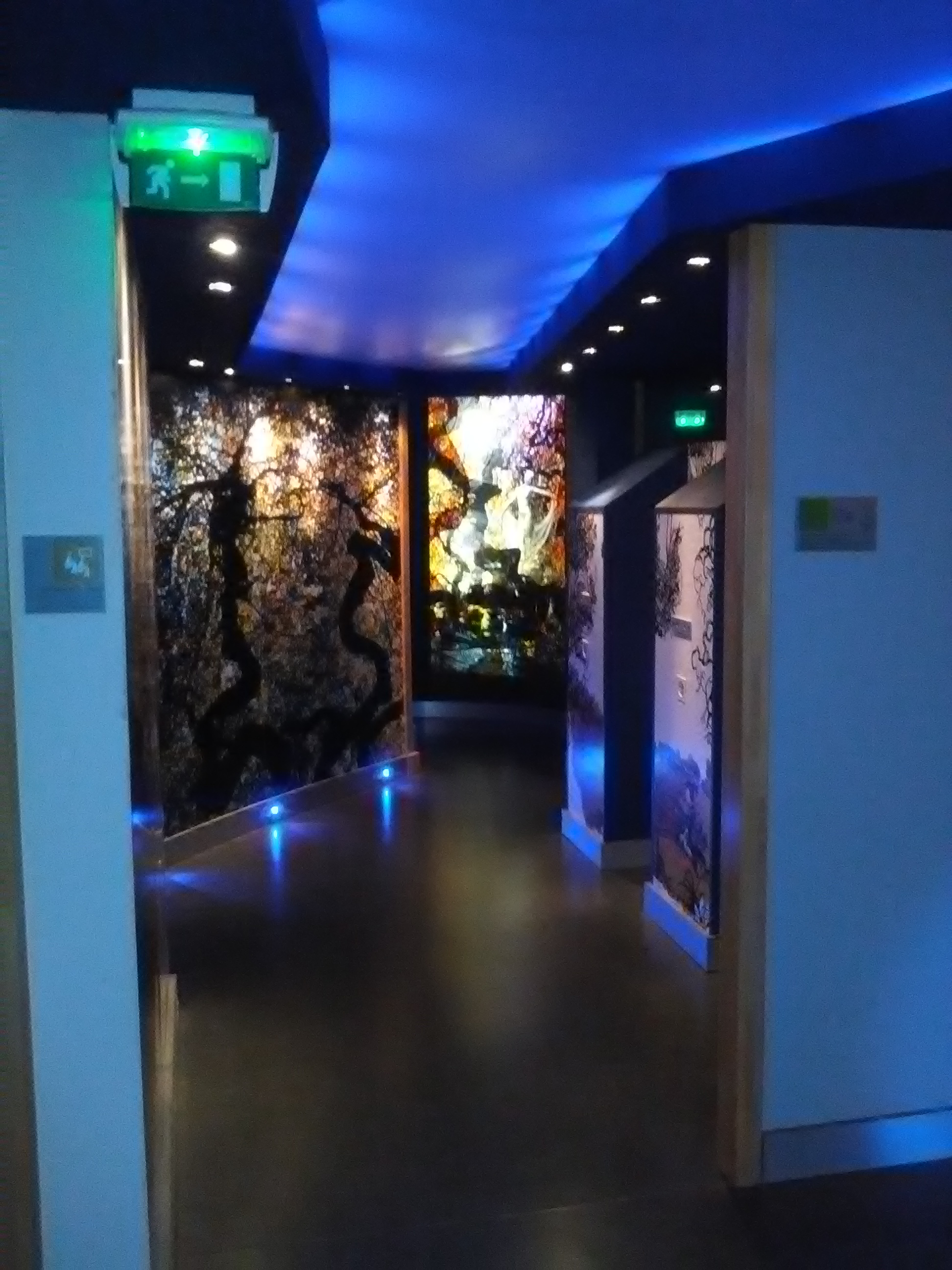 Photo n° 10 de l'avis de Athéna.e fait le 15/08/2017 à 06:29