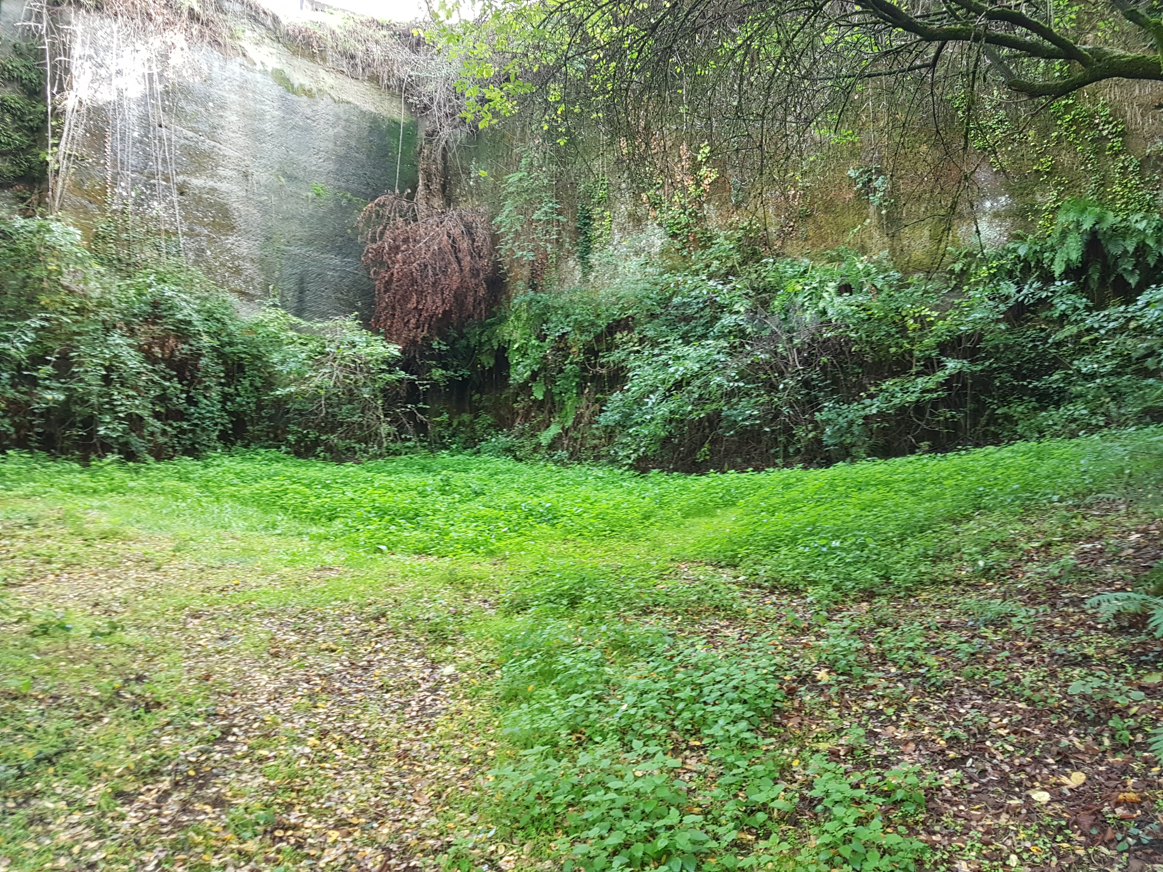 Photo n° 5 de l'avis de Yoann.u fait le 25/10/2019 à 10:32