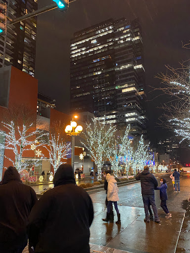 Clothing Store «The North Face», reviews and photos, 1001 Bellevue Way NE, Bellevue, WA 98004, USA