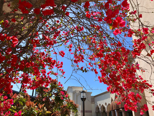 Craft Store «Michaels», reviews and photos, 26752 Portola Pkwy, Foothill Ranch, CA 92610, USA