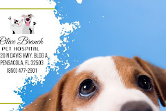 Olive Branch Pet Hospital