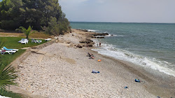 Foto von Platja Alcanar mit kurzer gerader strand