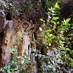 Photo n°4 de l'avis de Monia.u fait le 23/09/2023 à 19:01 sur le  Niala Ristoro e Tradizioni à Ussassai