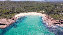 Φωτογραφία του Kingsley Beach άγρια περιοχή