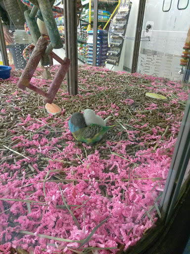 Pet Supply Store «Pet Supplies Plus», reviews and photos, 646 Long Hill Rd, Groton, CT 06340, USA