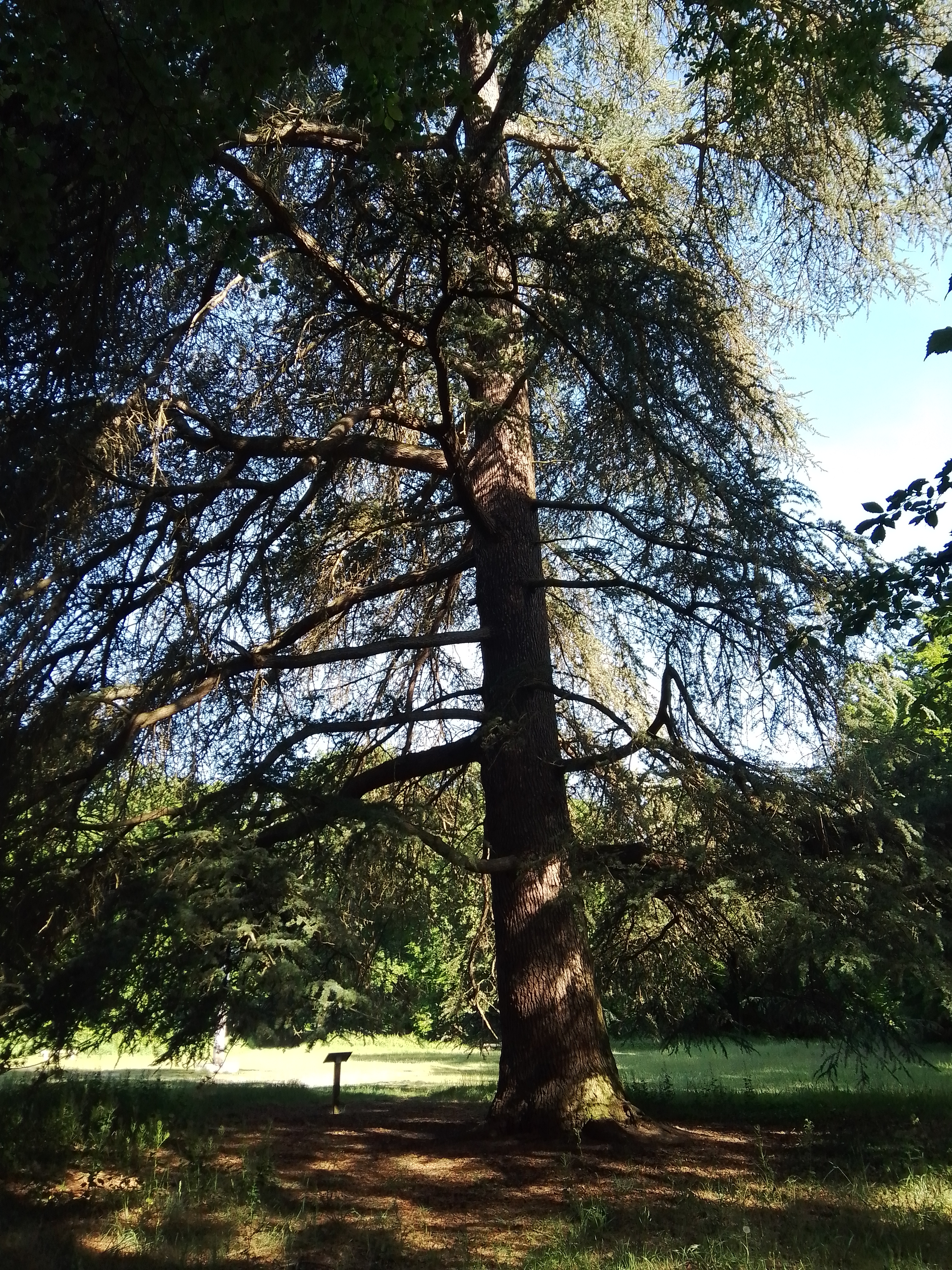 Photo n° 4 de l'avis de De.o fait le 13/10/2023 à 07:58