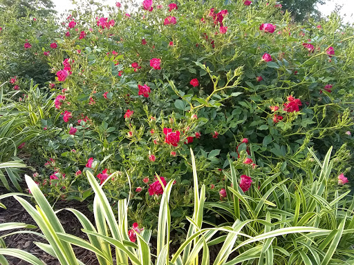 Recreation Center «Arlington Mill Community Center», reviews and photos, 909 S Dinwiddie St, Arlington, VA 22204, USA