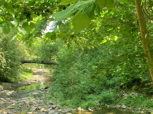 Nature Preserve «Daniel Johnson Nature Preserve», reviews and photos, 1301 Beech Valley Rd NE, Atlanta, GA 30306, USA