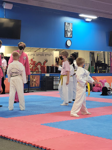 Clases karate Charlotte