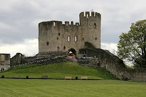 Dudley Zoo and Castle image