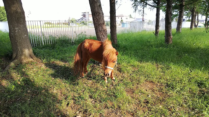 椚木児童公園