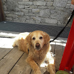 Photo n°4 de l'avis de Elisabetta.r fait le 01/07/2019 à 06:16 sur le  Aalts Dorf à Riale