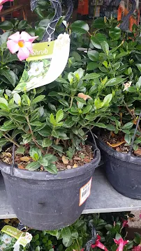 Garden Center at The Home Depot - Car repair in Toledo, OH, Toledo - Rated 4.0/5