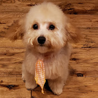 Ooh La La Boutique the Source - Photo 6 - Car repair in Huntington, WV, Huntington