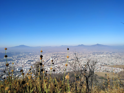 Cerro Punhuato