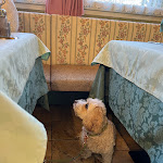 Photo n°8 de l'avis de Caroline.i fait le 30/09/2023 à 10:58 sur le  Hotel Gran Chalet Soreghes Vital à Campitello di Fassa