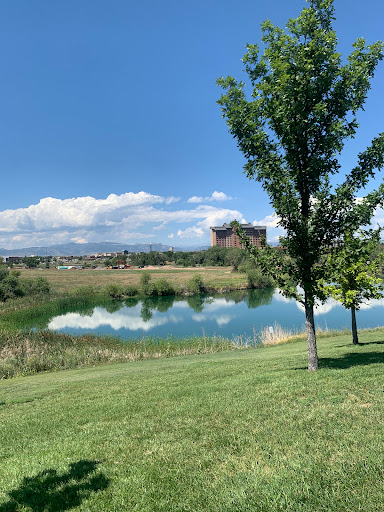 Park «Westminster Center Park», reviews and photos, 4801 W 92nd Ave, Westminster, CO 80031, USA