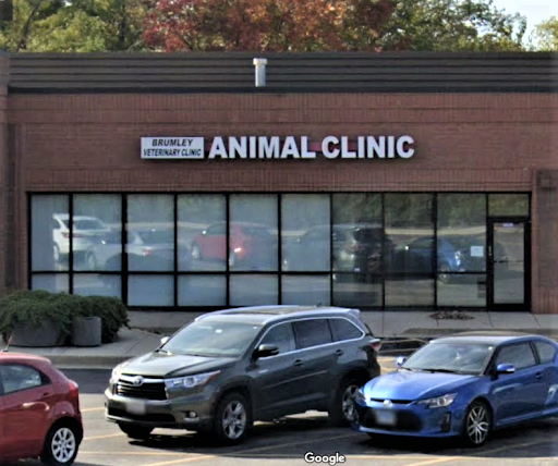 Brumley Veterinary Clinic PC image