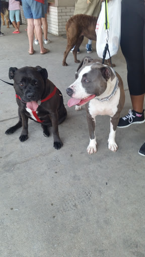 Pet Supply Store «Petco Animal Supplies», reviews and photos, 10464 Baltimore Ave, Beltsville, MD 20705, USA