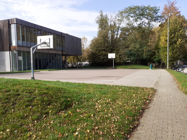 Beoordelingen van Terrain de Basket-ball du Blocry in Ottignies-Louvain-la-Neuve - Discotheek
