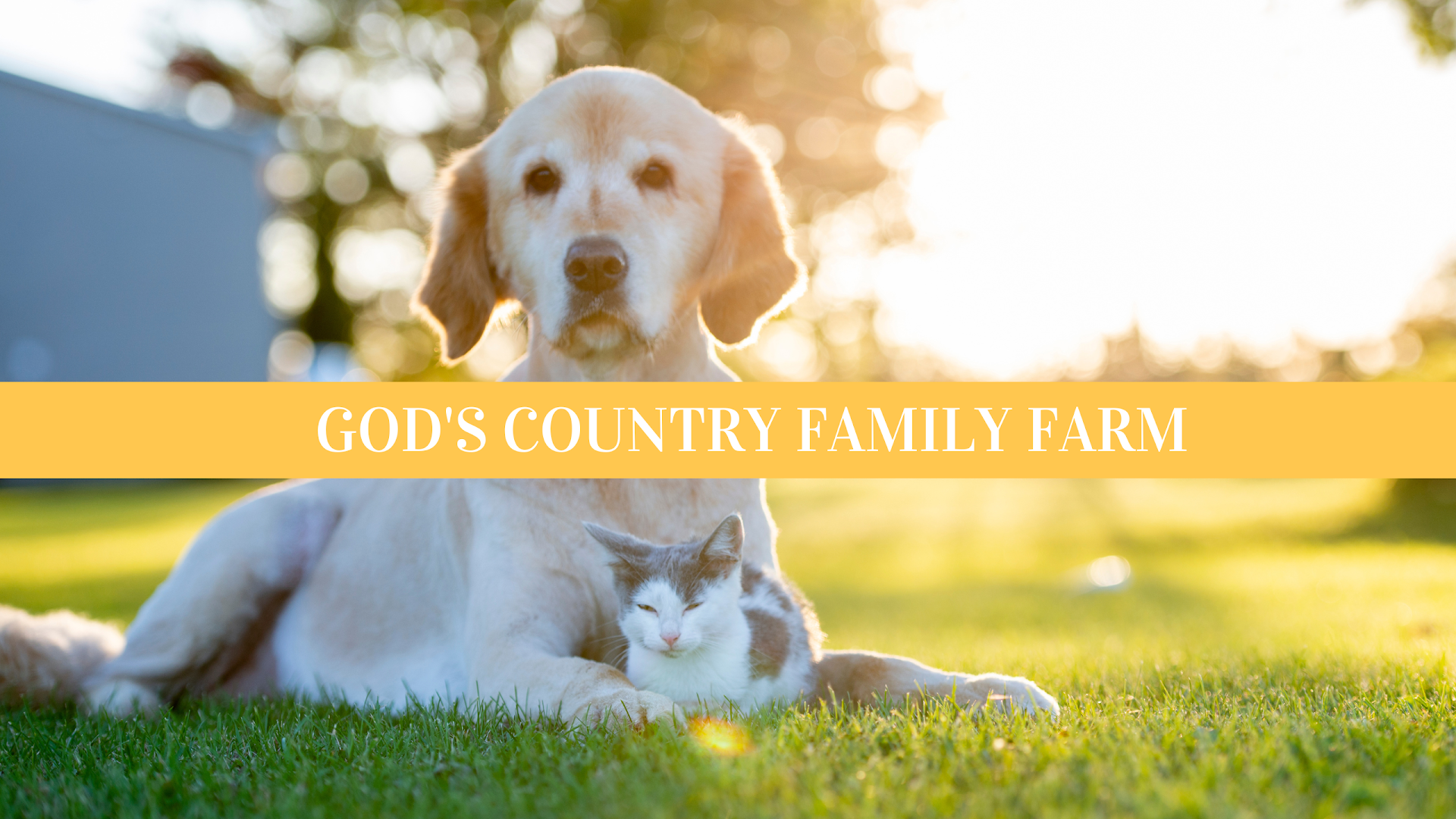 God's Country Family Farm