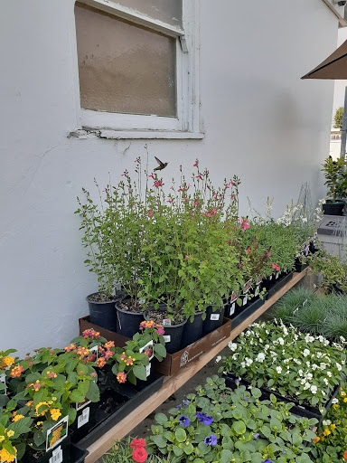 Hardware Store «Oilwell Materials/Hardware Co», reviews and photos, 506 CA-12, Rio Vista, CA 94571, USA