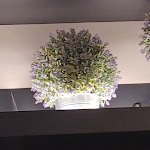 Photo n°6 de l'avis de Stefano.a fait le 19/06/2022 à 20:15 sur le  La Veranda Siena à Siena