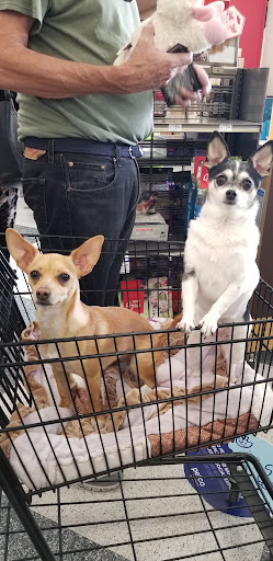 Pet Supply Store «Petco Animal Supplies», reviews and photos, 78720 CA-111, La Quinta, CA 92253, USA