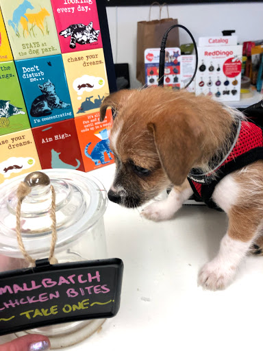 Pet Supply Store «Sonoma Pet and Aquatics», reviews and photos, 201 W Napa St #7, Sonoma, CA 95476, USA