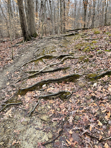 Park «Fairfax Villa Park», reviews and photos, 11399 Park Dr, Fairfax, VA 22030, USA