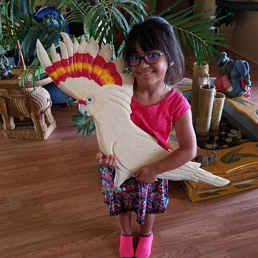 Craft Store «Craftopia», reviews and photos, 2225 W Shaw Ave, Fresno, CA 93711, USA